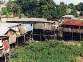 Manaus